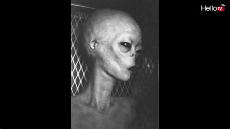 Real alien images - Do aliens exist? Extraterrestrial life has never been discovered, but that doesn’t mean it doesn’t exist. At NASA, astrobiologists like Lindsay Hays are trying to answer one of …
